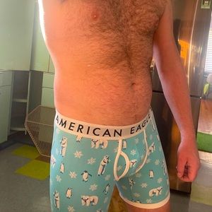 American Eagle boxer briefs SMALL